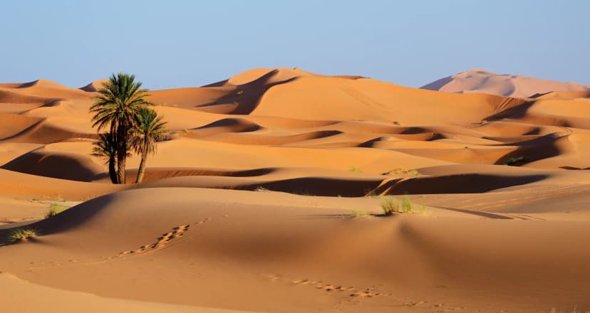 Desierto