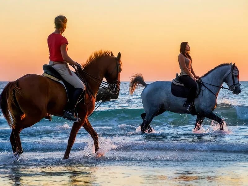 Paseo a caballo en Tánger