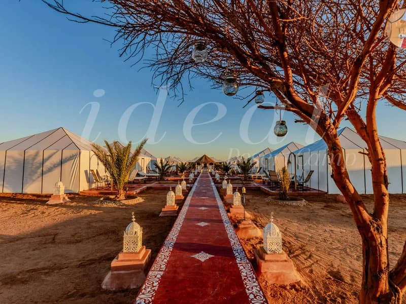Ideal Luxury Camp