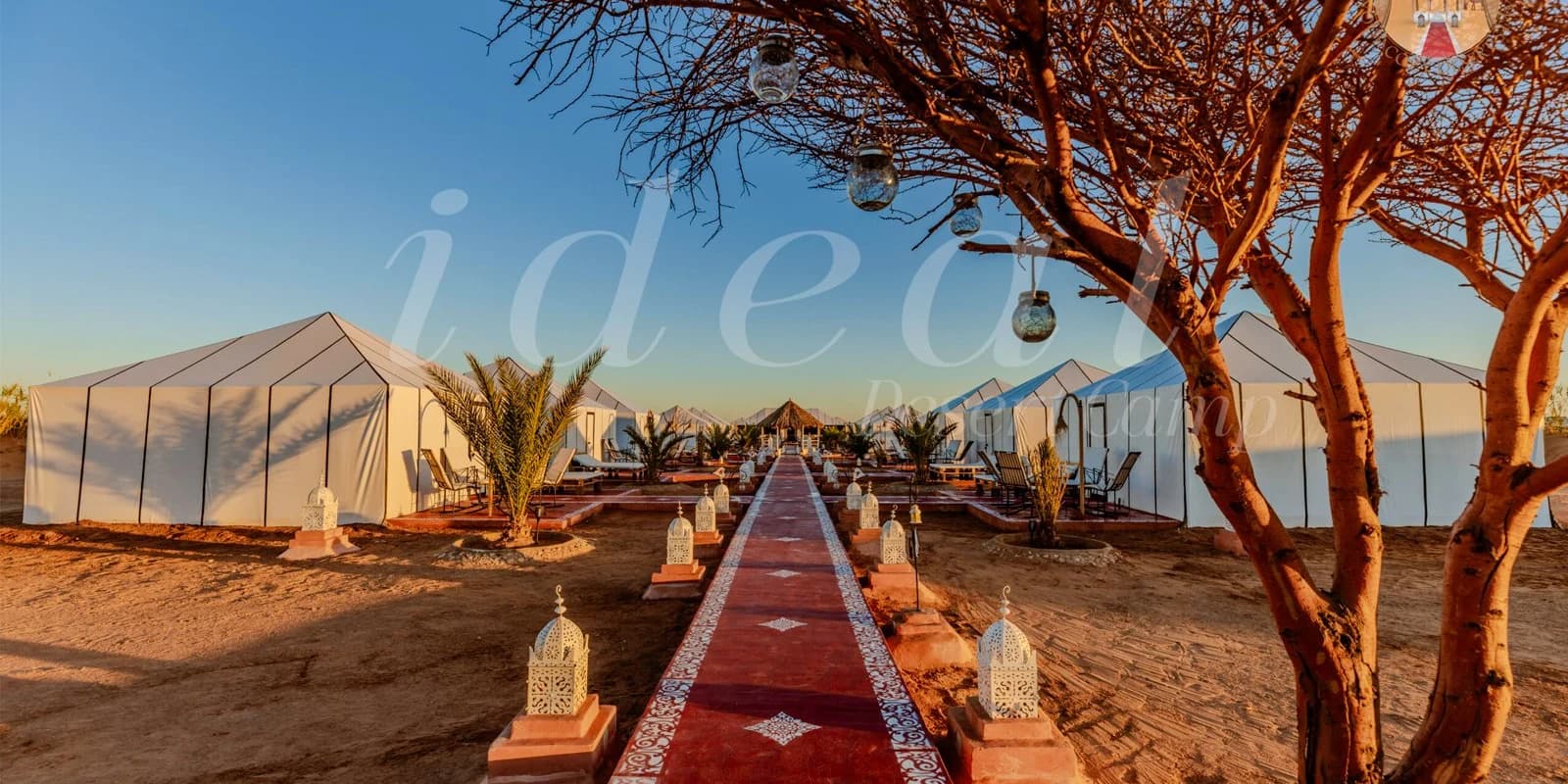 Ideal Luxury Camp