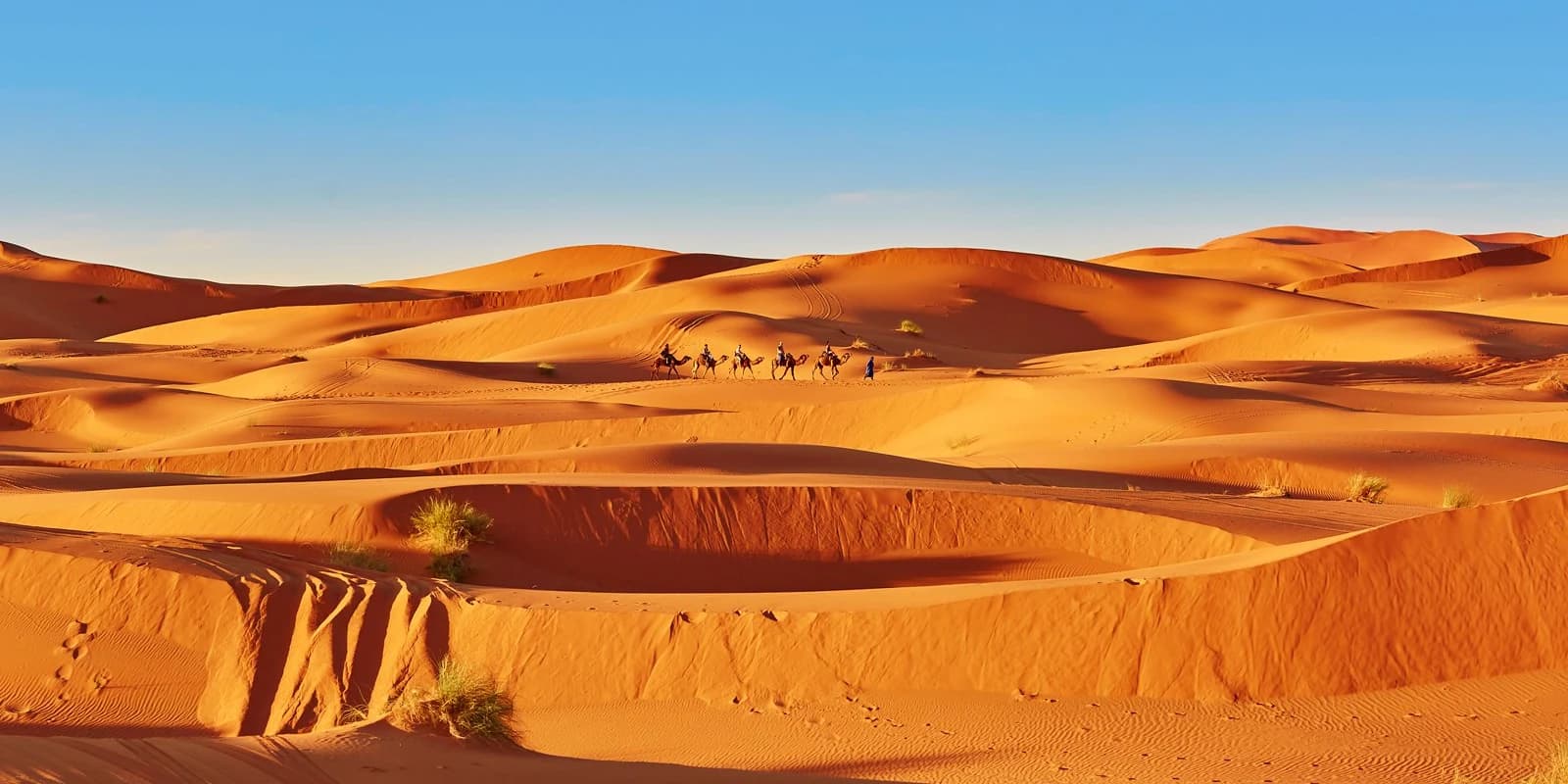Desierto del Sahara
