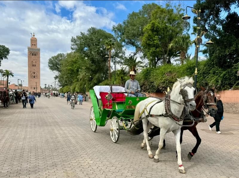 Calesas en Marrakech