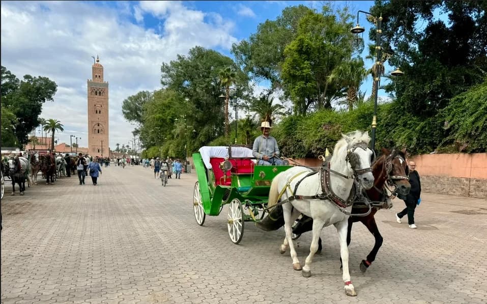 Calesas en Marrakech