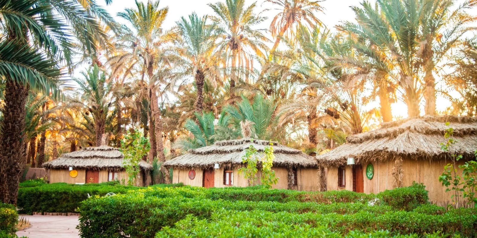 Riad Lamane