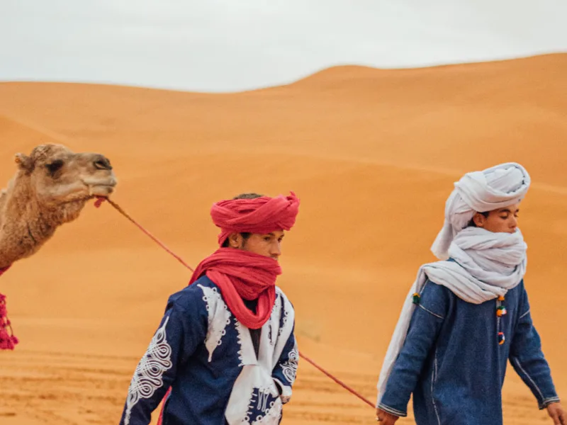 Paseo en dromedario al atardecer