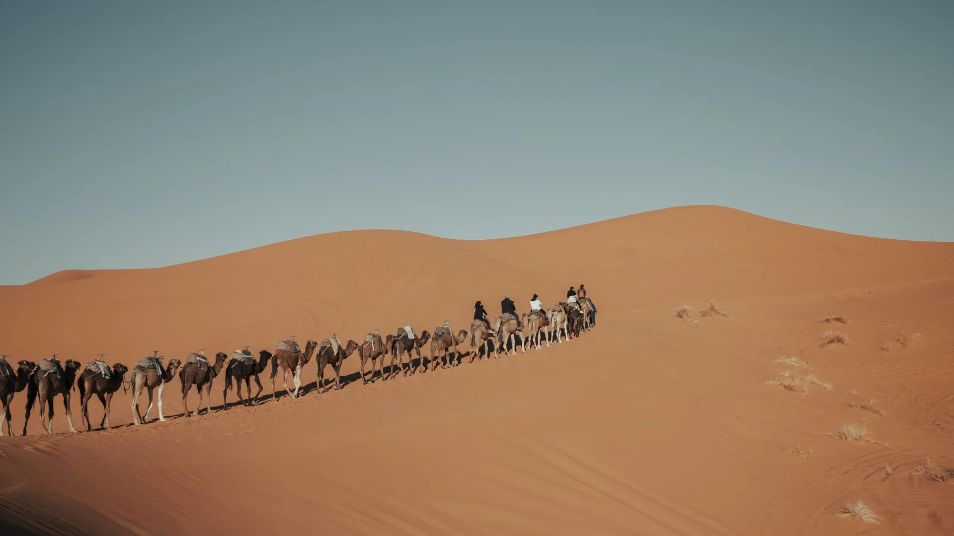 Tour Medinas Andaluzas 3 días