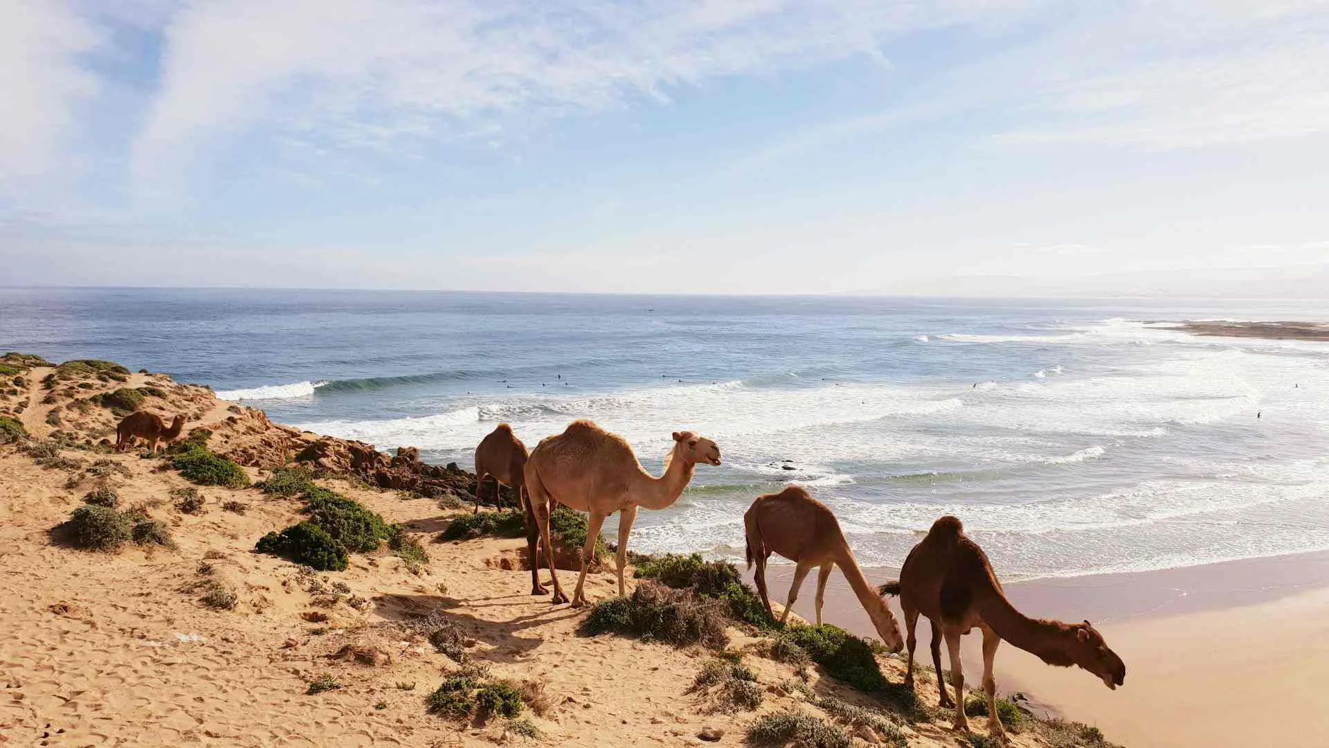 Tour de Surf en Marruecos